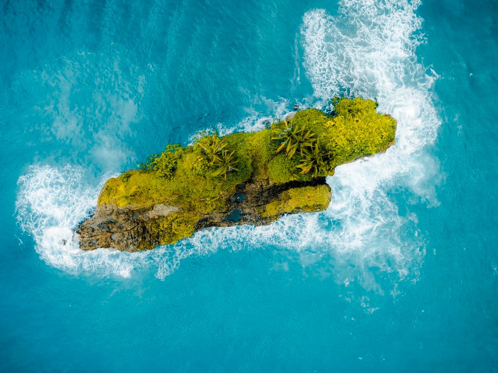 Limón