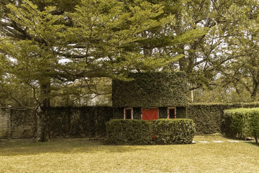 Hacienda Los Reyes, foto 7