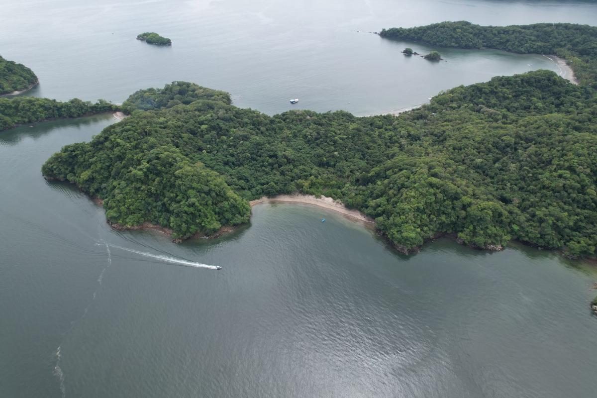 Isla Cedros, foto 1