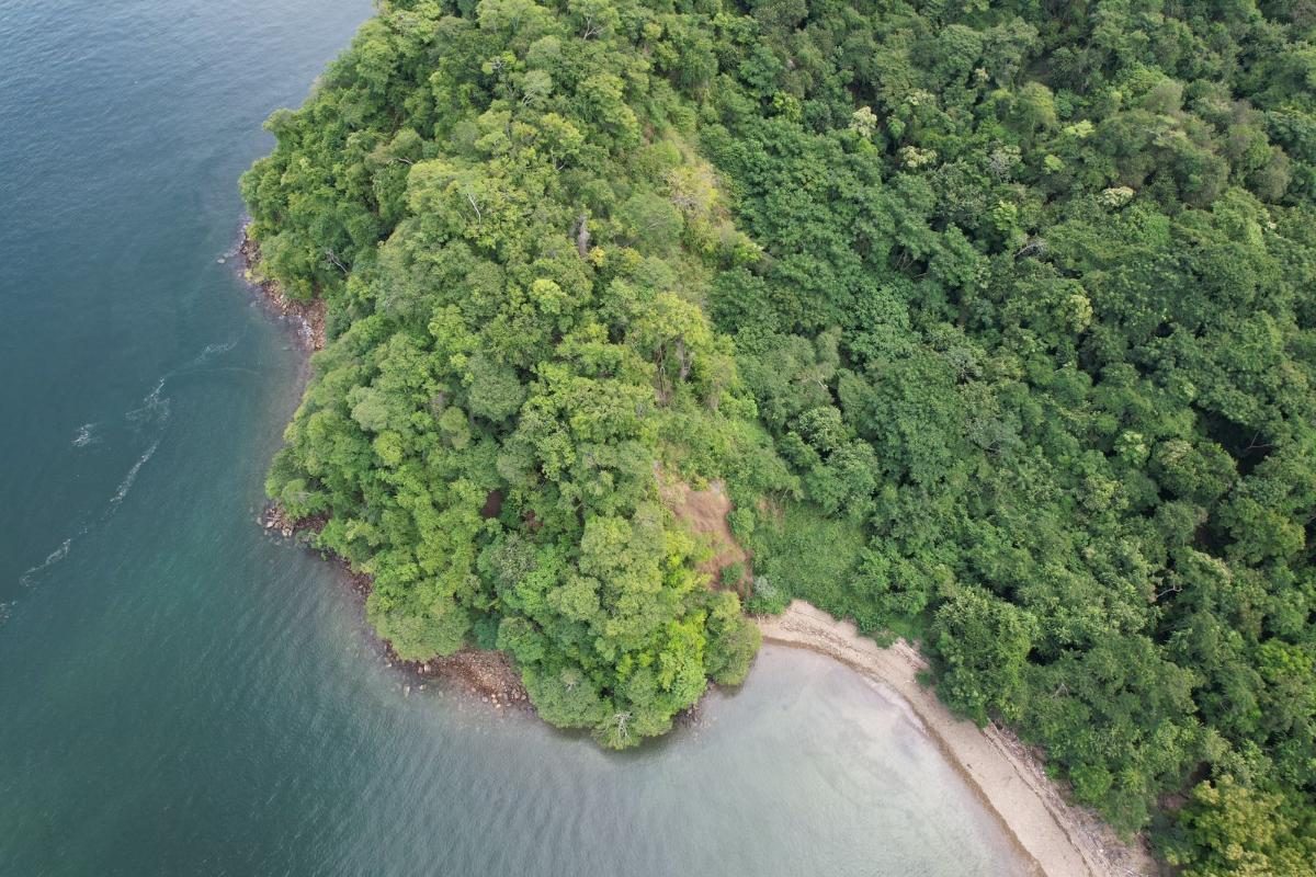 Isla Cedros, foto 3