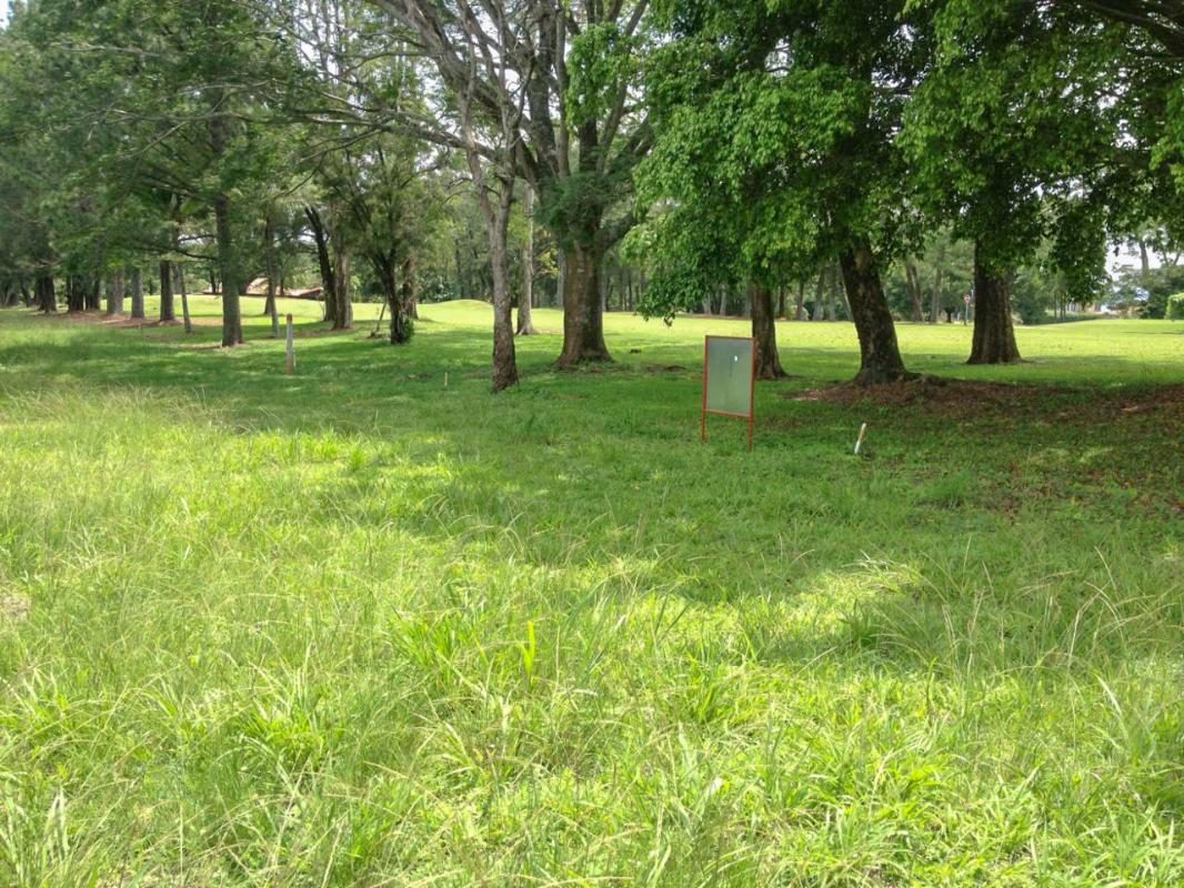 Hacienda Los Reyes, foto 5