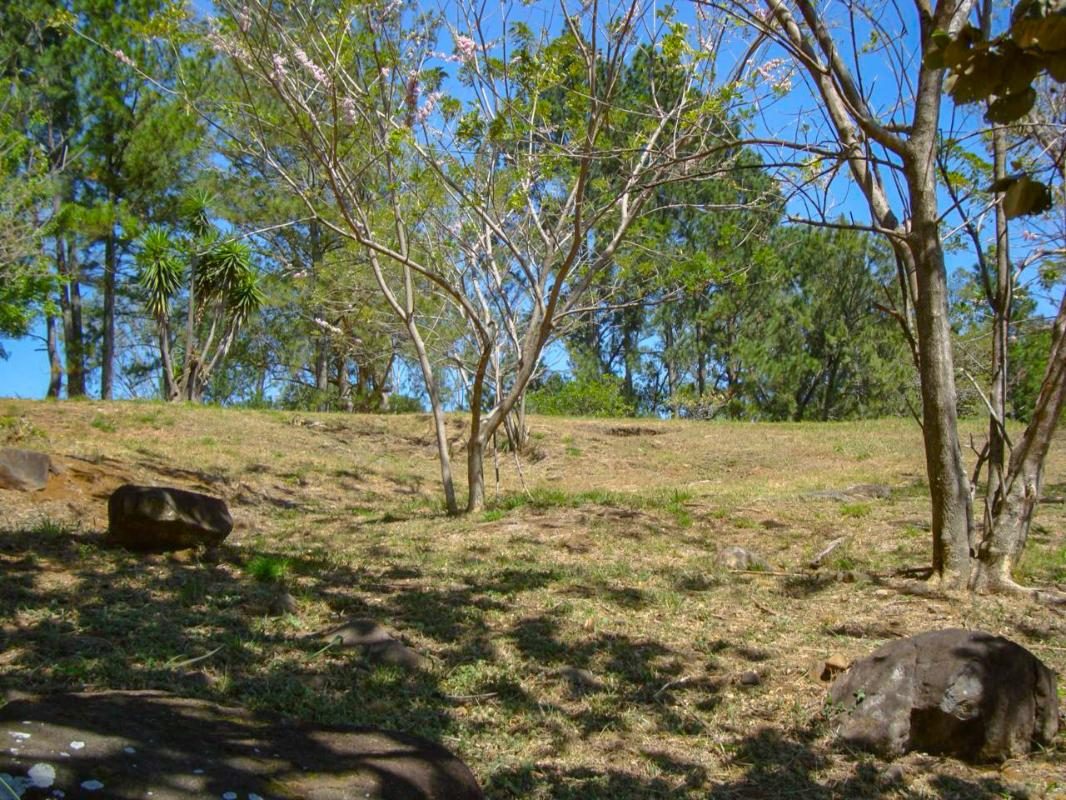 Hacienda Los Reyes, foto 7