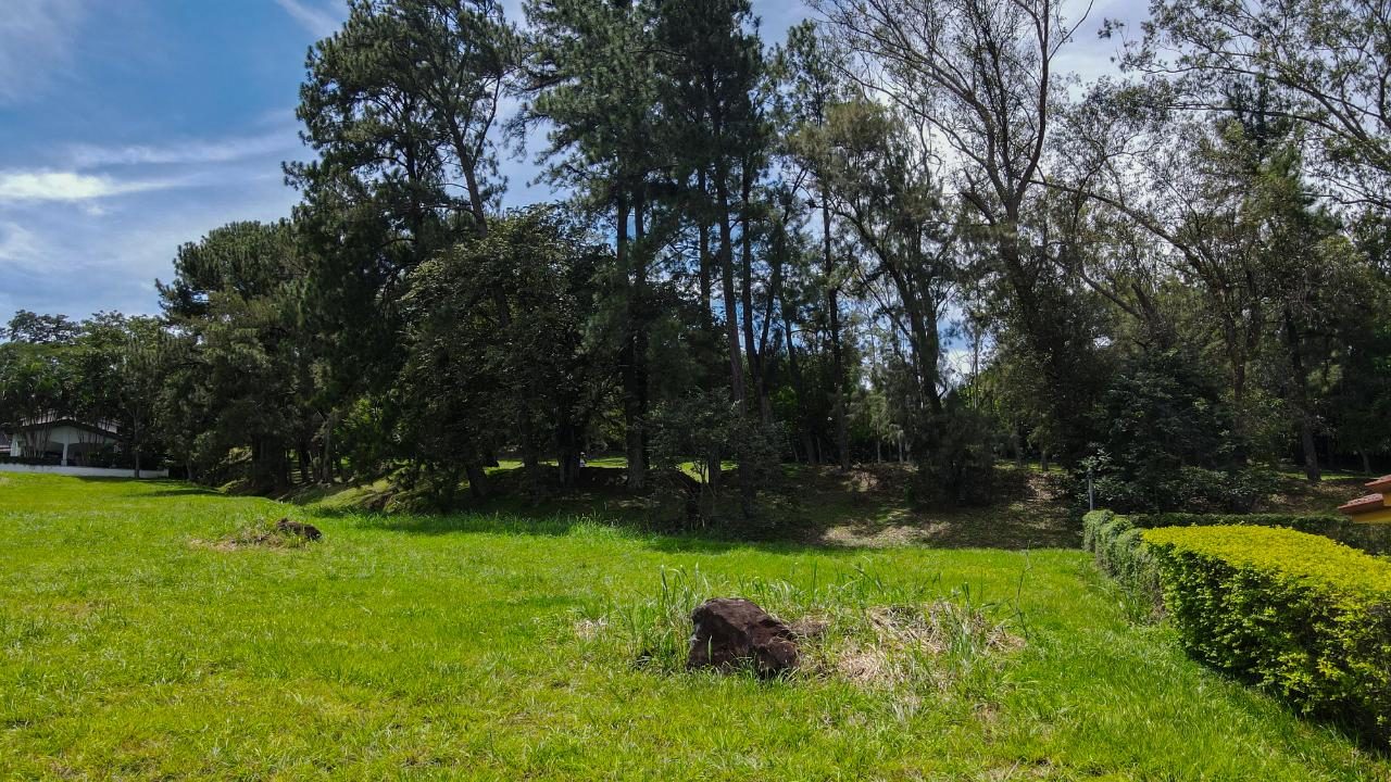 Hacienda Los Reyes, foto 6