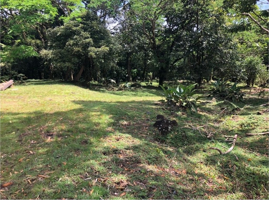 Finca Maijeven, foto 3
