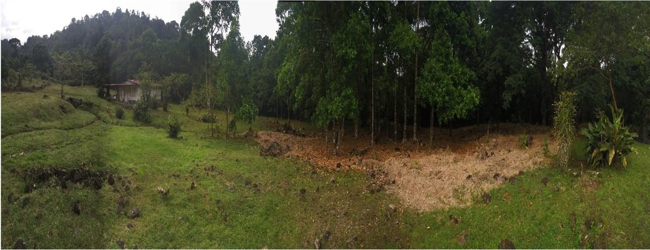 Finca Maijeven, foto 5