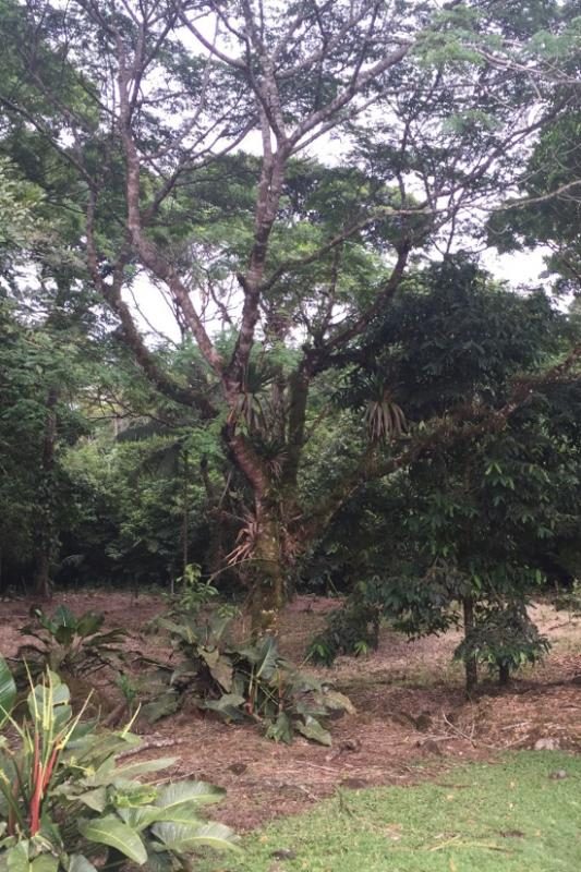 Finca Maijeven, foto 6